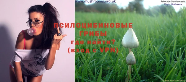 дурь Гусиноозёрск
