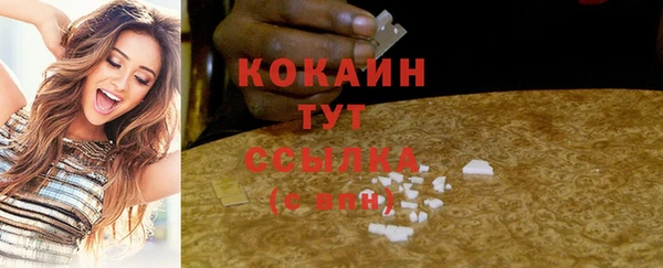 2c-b Гусев