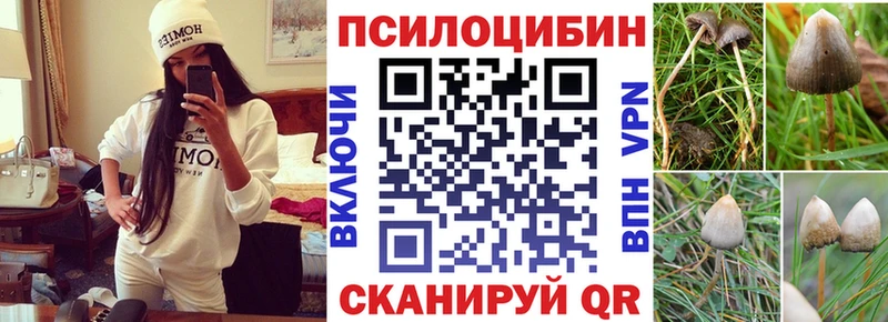 Галлюциногенные грибы мухоморы хочу Любань